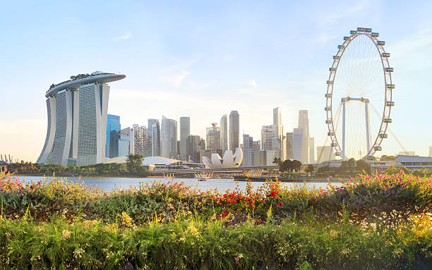 View of central Singapore View on Marina Bay from Marina East with flowers on foreground. Modern city architecture at sunset singapore stock pictures, royalty-free photos & images