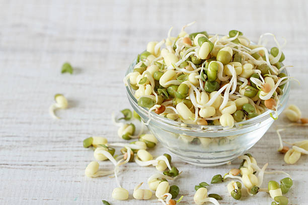 Raw food : bean sprouts Various type of bean sprouts on glass jar grain sprout stock pictures, royalty-free photos & images