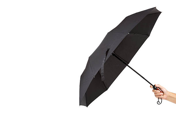 istock Modern black umbrella in hand on white background. 589434578