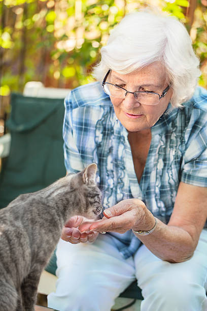 idoso alimenta um gato - senior citizen woman - fotografias e filmes do acervo