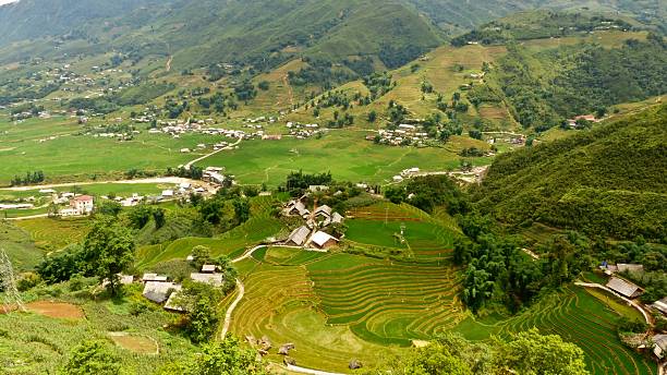 istock Vietnam-Sapa, rice terraces, landscape 589436846