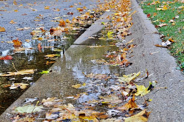 istock Autumn leaves, puddle, street. 589437058