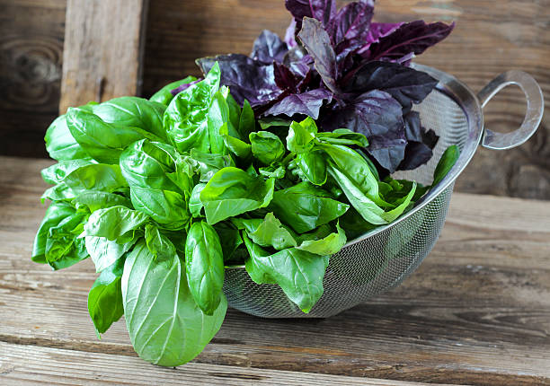 istock Fresh red and green basil in a strainer 589437330