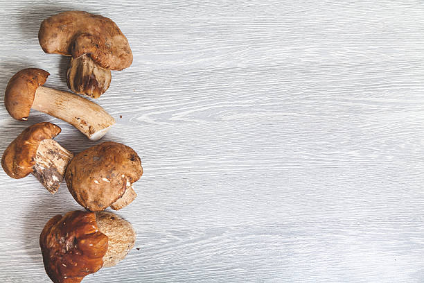 istock Several cut mushrooms laid out in a row 589438758