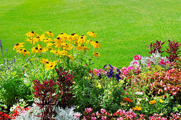 istock summer flowerbed and green lawn 589439564