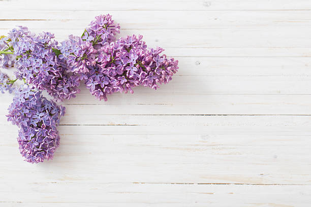 istock The beautiful lilac on a wooden background 589441166