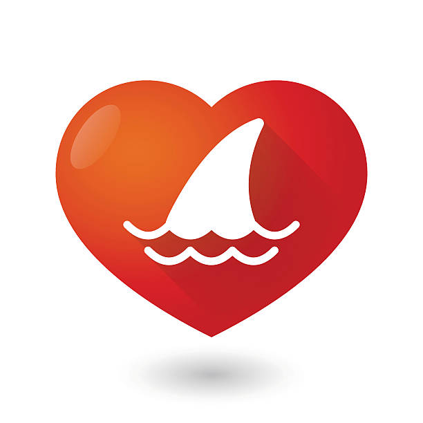 illustrazioni stock, clip art, cartoni animati e icone di tendenza di icona del cuore con una pinna di squalo - spinarolo