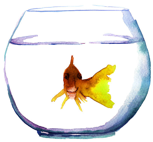 istock watercolor sketch of a goldfish on white background 589442132