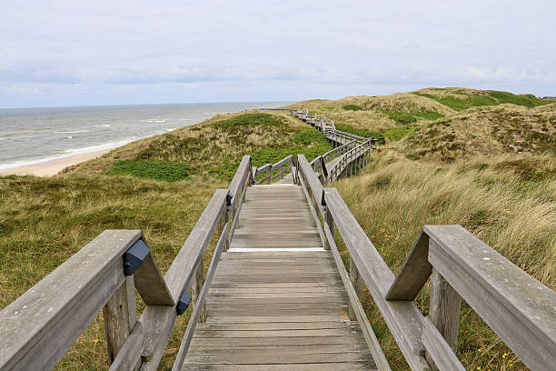 istock Germany’s beautiful island sylt 589443334