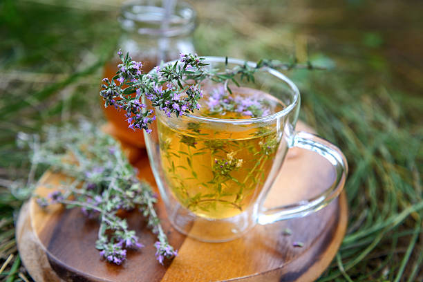 tea with wild thyme. - tijm stockfoto's en -beelden