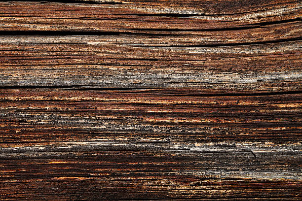 istock wood texture, grunge, cracked, high-resolution image 589445444