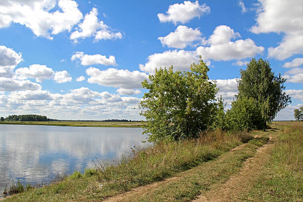 istock Lake shore and a beautiful cloudscape in summer. 589445782