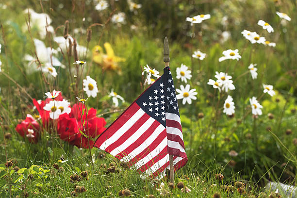 istock American Flag in the grass 589446060