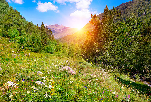 istock Beautiful sunrise in high mountains 589446180