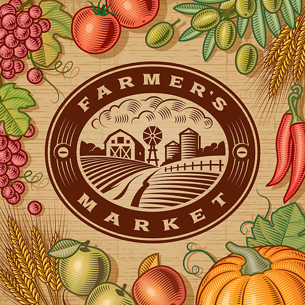 빈티지 농부의 시장 라벨 - farm pumpkin autumn farmer stock illustrations