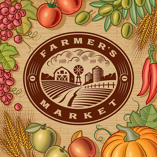 ilustrações de stock, clip art, desenhos animados e ícones de vintage farmer’s market label - field autumn landscaped farm