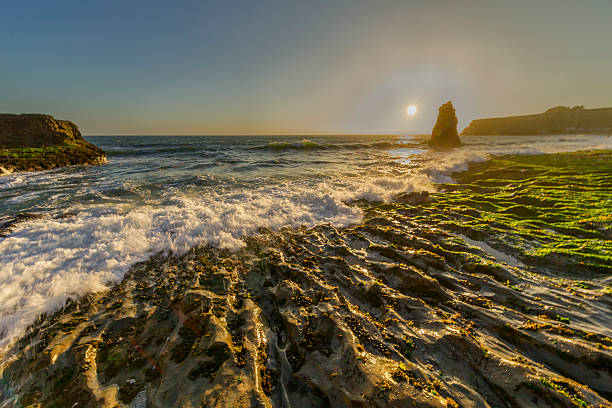 istock Davenport Beach near San Francisco 589452010