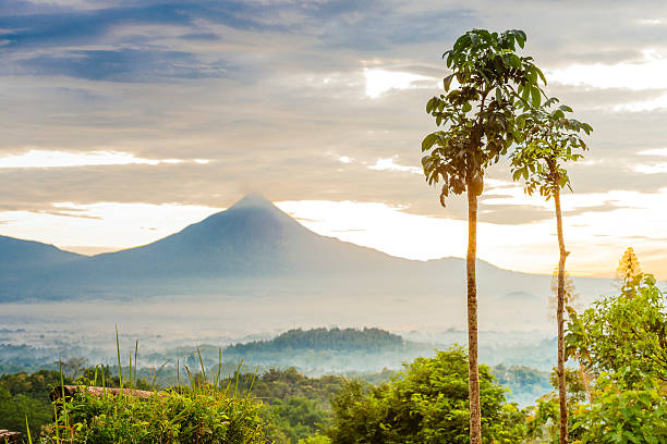 This is a horizontal, color photograph of the sunrise over Mount Merbabu. The sun shines from behind a volcano. Tropical southeast Asian vegetation and papaya trees fills the foreground. Fog fills the valley. Photographed with a Nikon D800 DSLR camera.