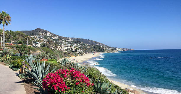 istock Laguna Beach Coastline & Gardens 589455010