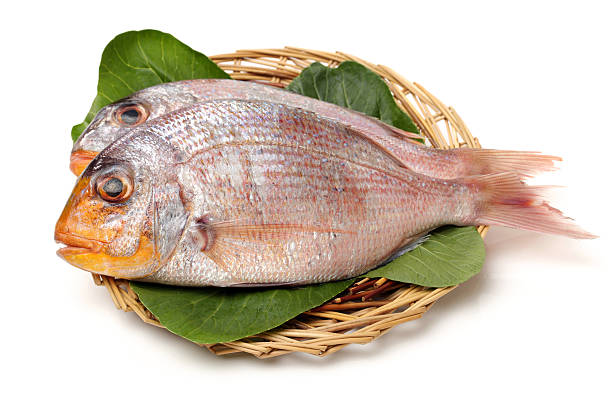 istock Raw porgy 589455096