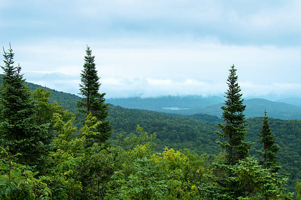 Idyllic landscape in Mont Tremblant National Park stock photo