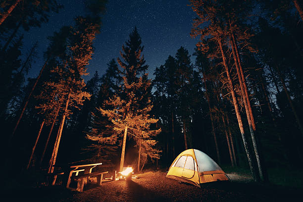Banff National Park Camping under stars with bonfire and tent in Banff National Park yoho national park photos stock pictures, royalty-free photos & images