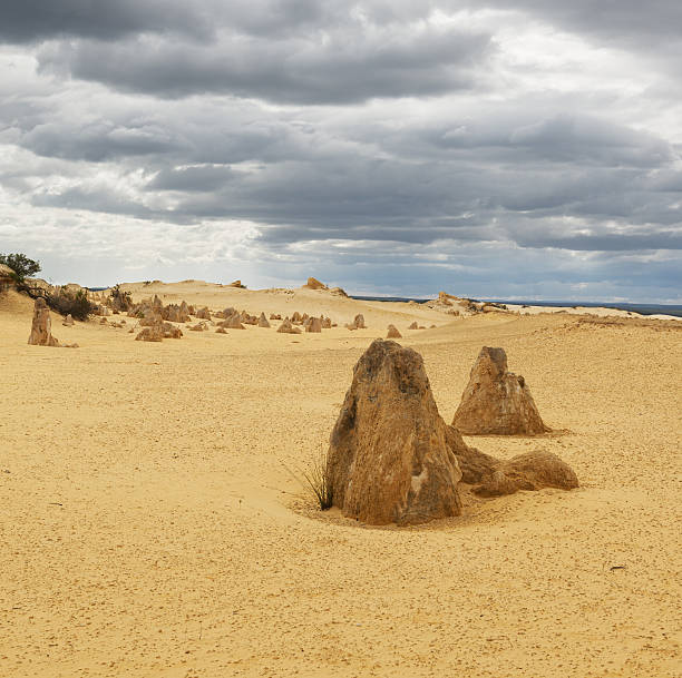 пустыня пиннаклы в национальном парке намбунг - australia desert pinnacle stone стоковые фото и изображения