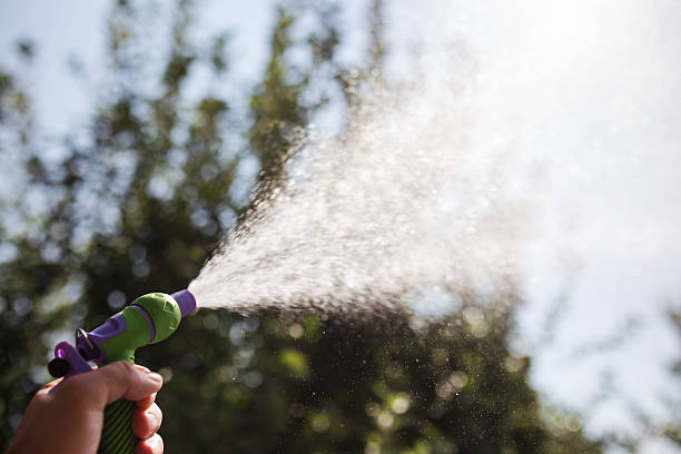 istock Hand with hose sprinkle watering plants in the garden 589459372