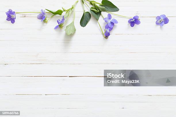 Violet Flowers On Old Wooden Background Stock Photo - Download Image Now - African Violet, Violet - Flower, Backgrounds