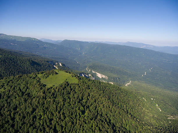 istock The mountain ridge covered forest. Mountain landscape. 589461642