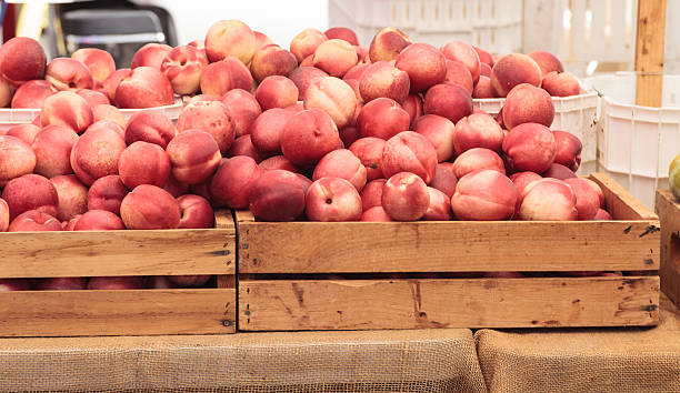 nettarine rosse e gialle - nectarine peach red market foto e immagini stock