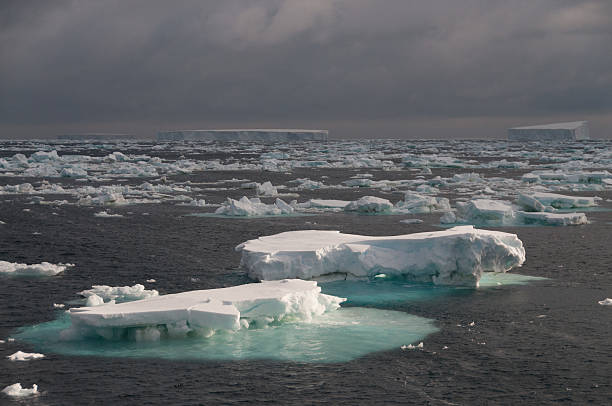 istock Icebergs in the south atlantic ocean 589462742