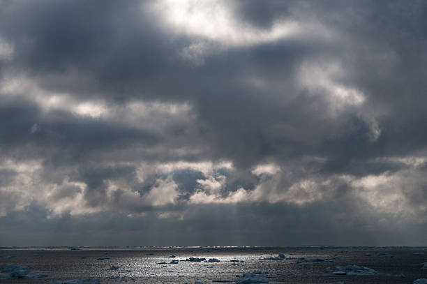 istock Icebergs in the south atlantic ocean 589537604