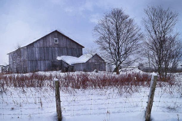 istock Digital art, paint effect, old barn, winter scenery, Quebec, Canada 589537668