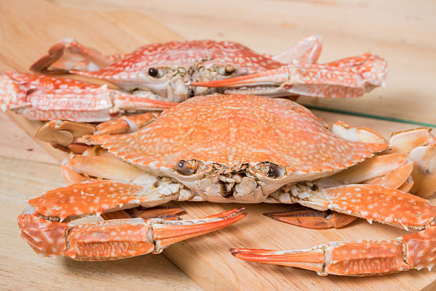 istock Hot Steamed Crabs on wood, Main dish 589537748