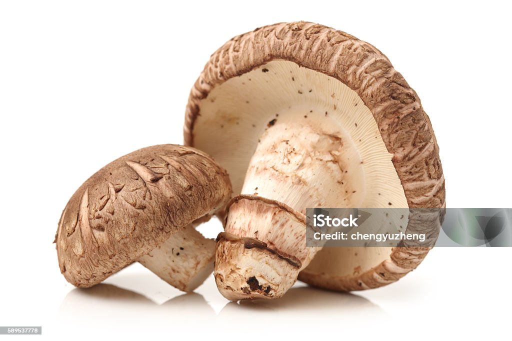 Shiitake mushroom Shiitake mushroom on the White background Basket Stock Photo