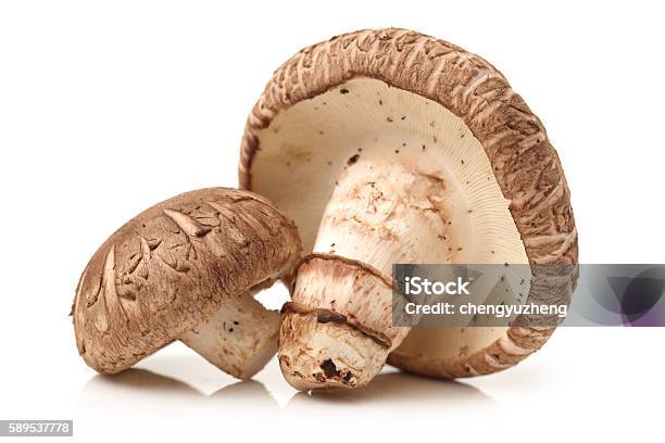 Shiitake Mushroom Stock Photo - Download Image Now - Basket, Brown, Edible Mushroom