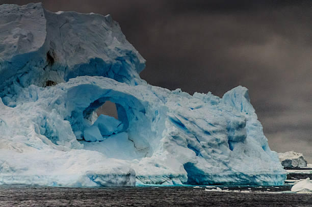 istock Icebergs in the south atlantic ocean 589538320