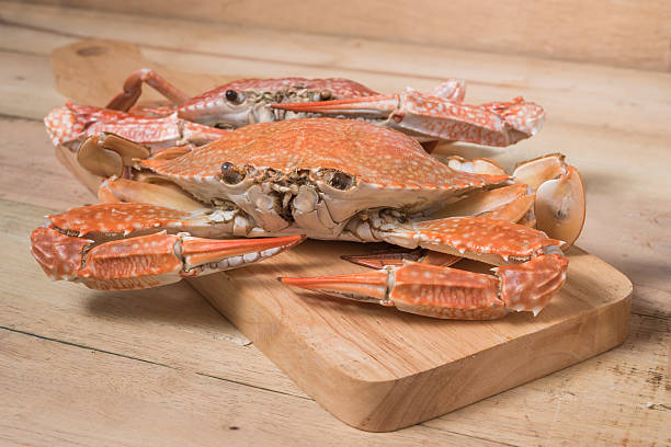 istock Hot Steamed Crabs on wood, Main dish 589538738