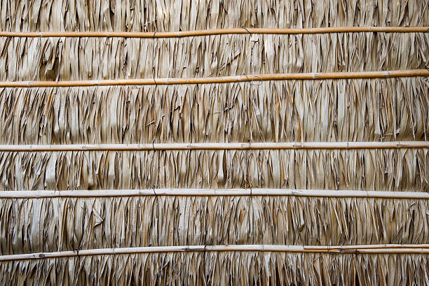 istock Wall made of Nipa Palm leaves, texture and background 589539634