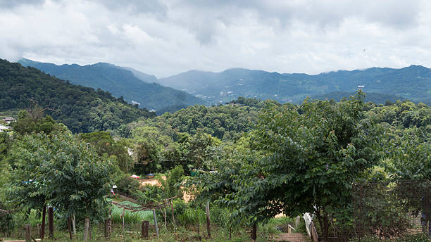 istock view of mountain hill and tropical forest 589540124