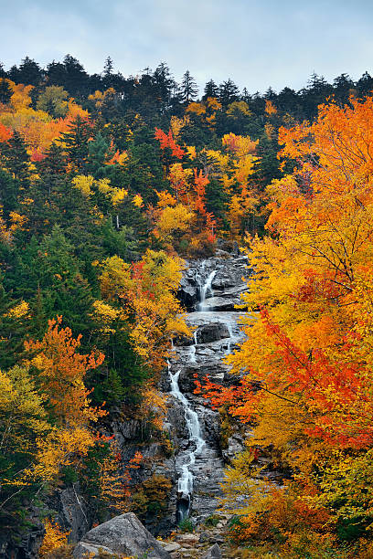 istock Colorful Autumn creek 589541044