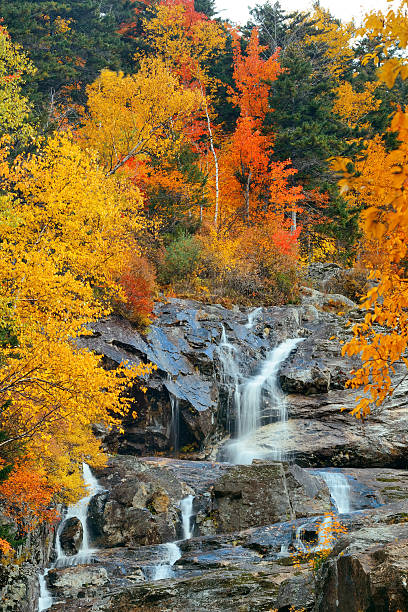 istock Colorful Autumn creek 589541090