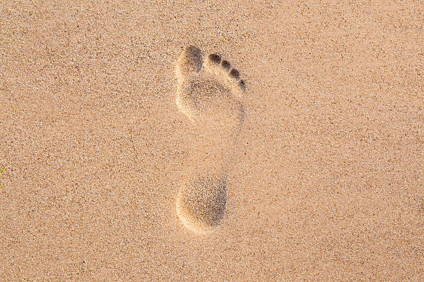 istock Shiny, perfect foots imprint in sand on the beach. 589541152