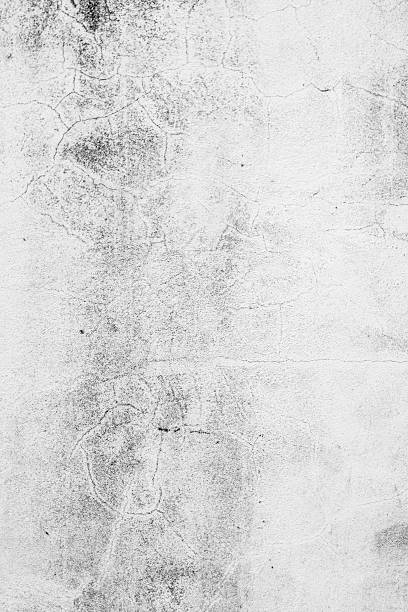 istock grungy white background of natural cement texture. 589541368