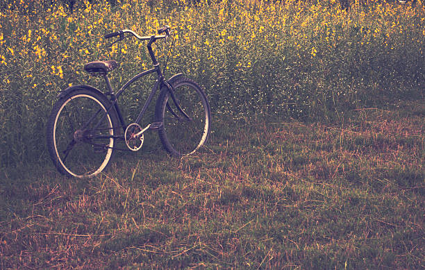 istock bike summer meadow. 589542228