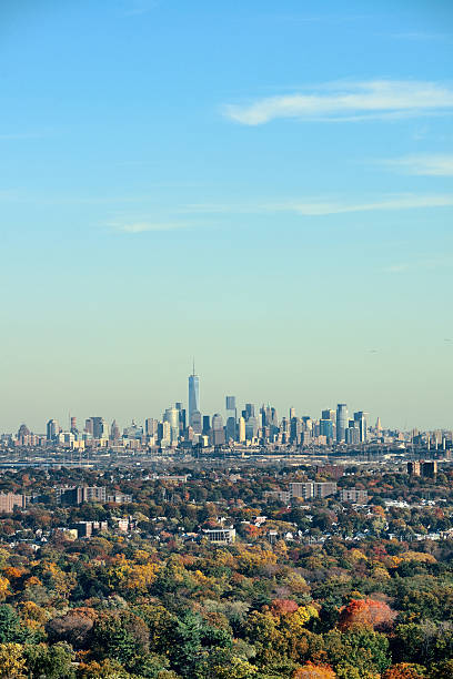istock New York City skyline viewed from park 589542290