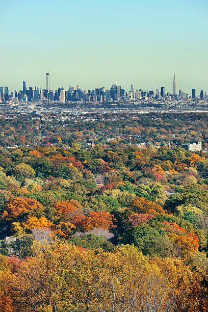 istock New York City skyline viewed from park 589542354