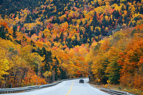 istock Highway and Autumn foliage 589542826