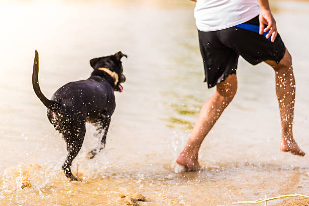 istock Catch me if you can buddy! 589543370
